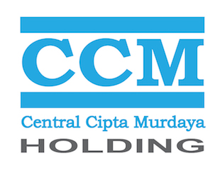 CCM Holding